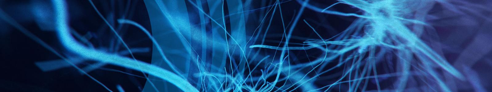 Header-4